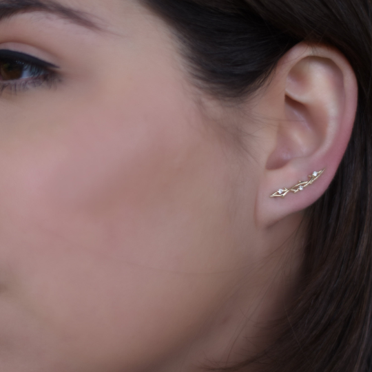 EG2223 Gold and Diamonds climbers earrings